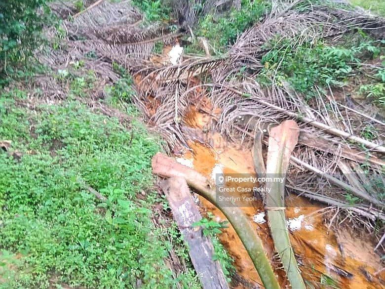 Agricultural Land for Sale in Slim River, Perak by Sherlyn Yeoh - iProperty.com.my