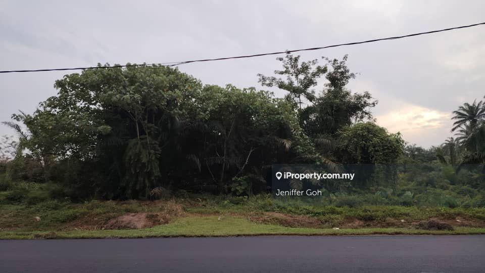 Agricultural Land for Rent in Changkat, Nibong Tebal by Jeniffer Goh - iProperty.com.my