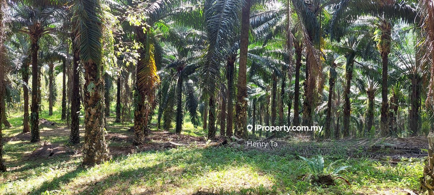Tanah Perindustrian untuk Dijual di Hulu Semenyih, Semenyih oleh Henry Ta - iProperty.com.my