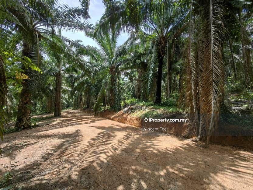 Agricultural Land for Sale in Taman Jelebu, Kuala Klawang by Vincent Tee - iProperty.com.my