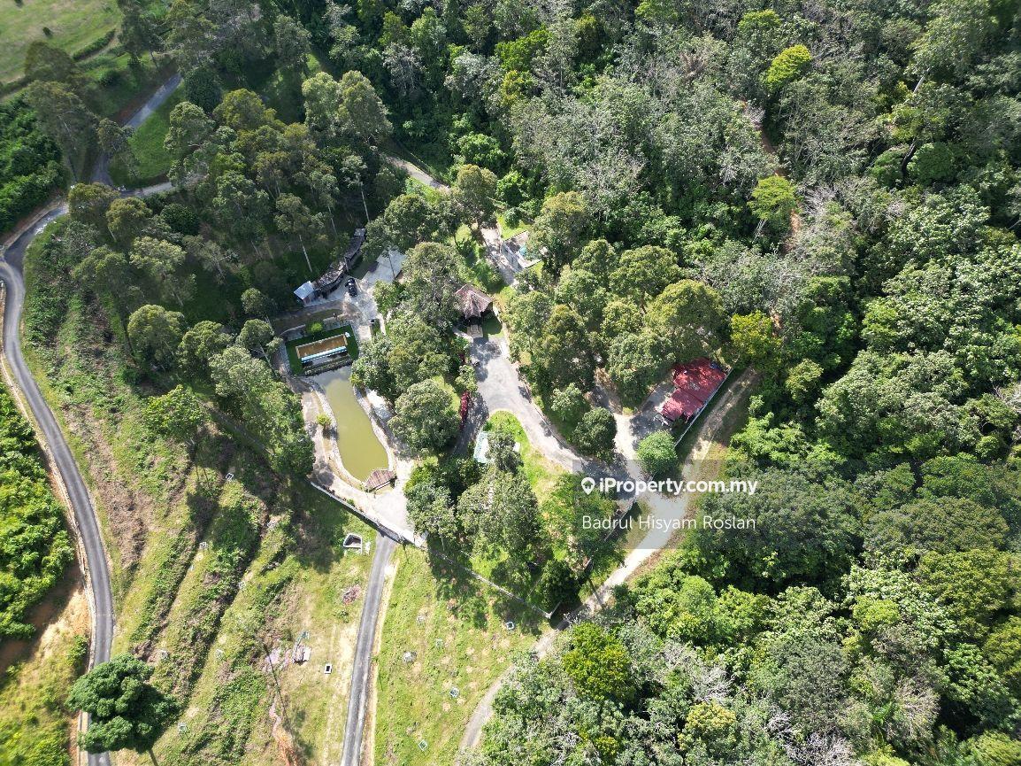 Tanah Pertanian untuk Dijual di Taman Jelebu, Kuala Klawang oleh Badrul Hisyam Roslan - iProperty.com.my