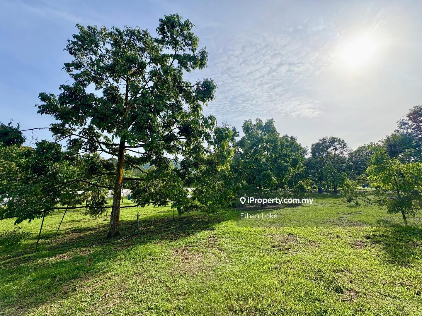Agricultural Land for Sale in Durian Land 3.5 acre @ Karak Pahang, Karak by Ethan Loke - iProperty.com.my