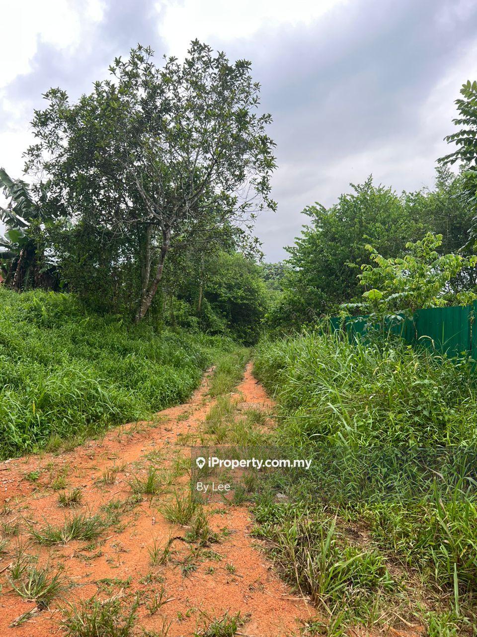 Tanah Pertanian untuk Disewa di Seelong, Senai oleh By Lee - iProperty.com.my
