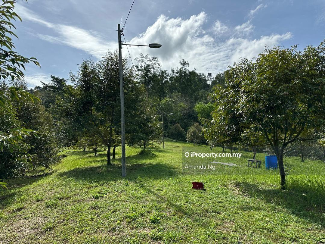 Agricultural Land for Sale in Serendah, Rawang by Amanda Ng - iProperty.com.my