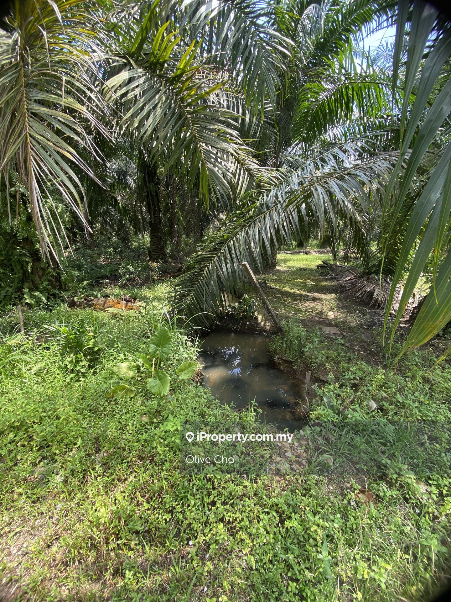 Agricultural Land for Sale in Kapar, Klang by Olive Cho - iProperty.com.my