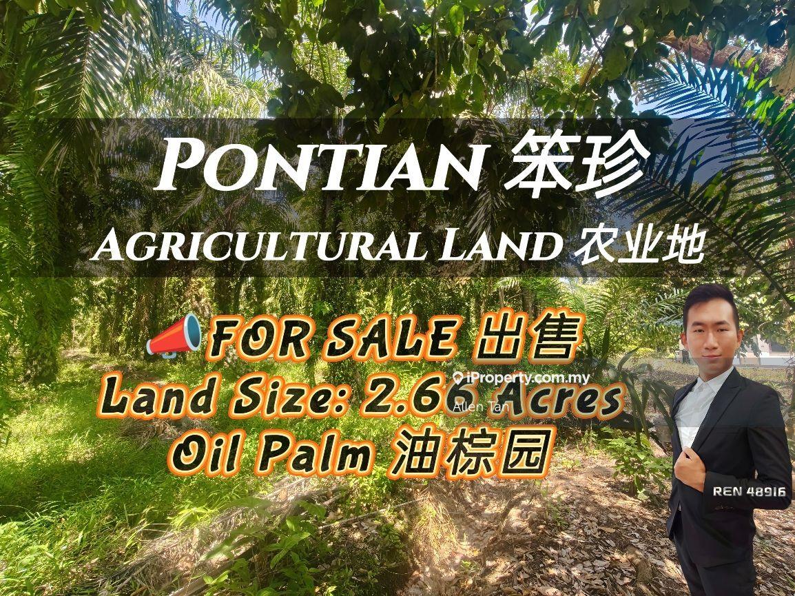 Tanah Pertanian untuk Dijual di Bandar Pontian, Pontian oleh Allen Tan - iProperty.com.my