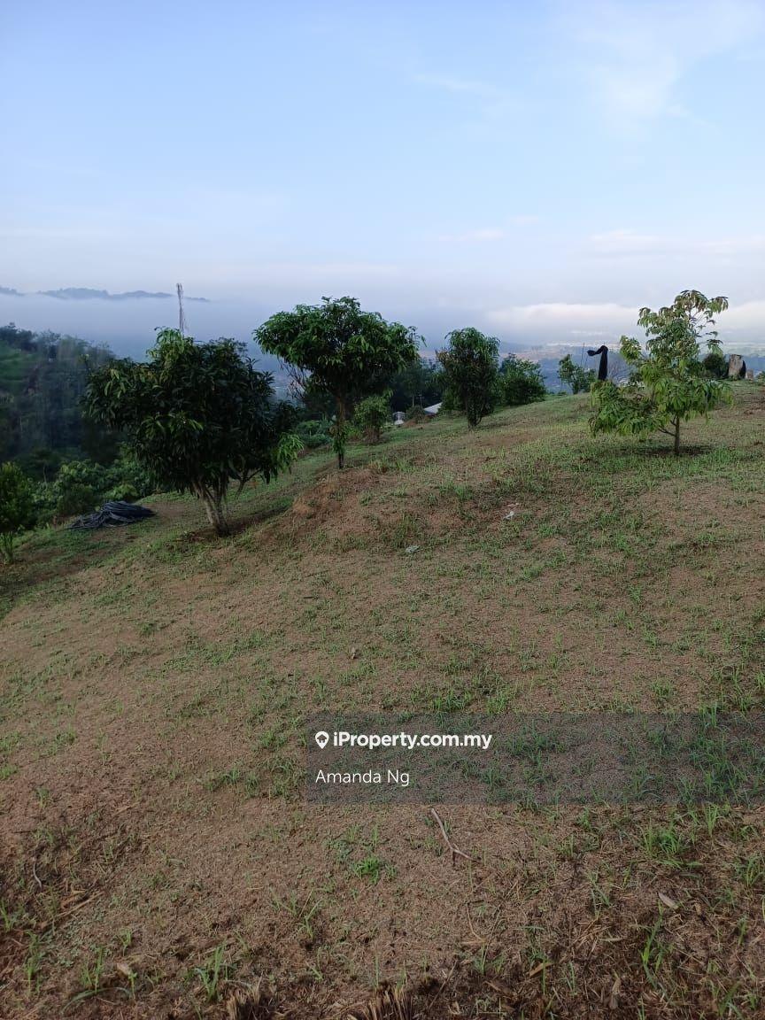 Agricultural Land for Sale in Kuala Lipis mukim penjom, Kuala Lipis by Amanda Ng - iProperty.com.my