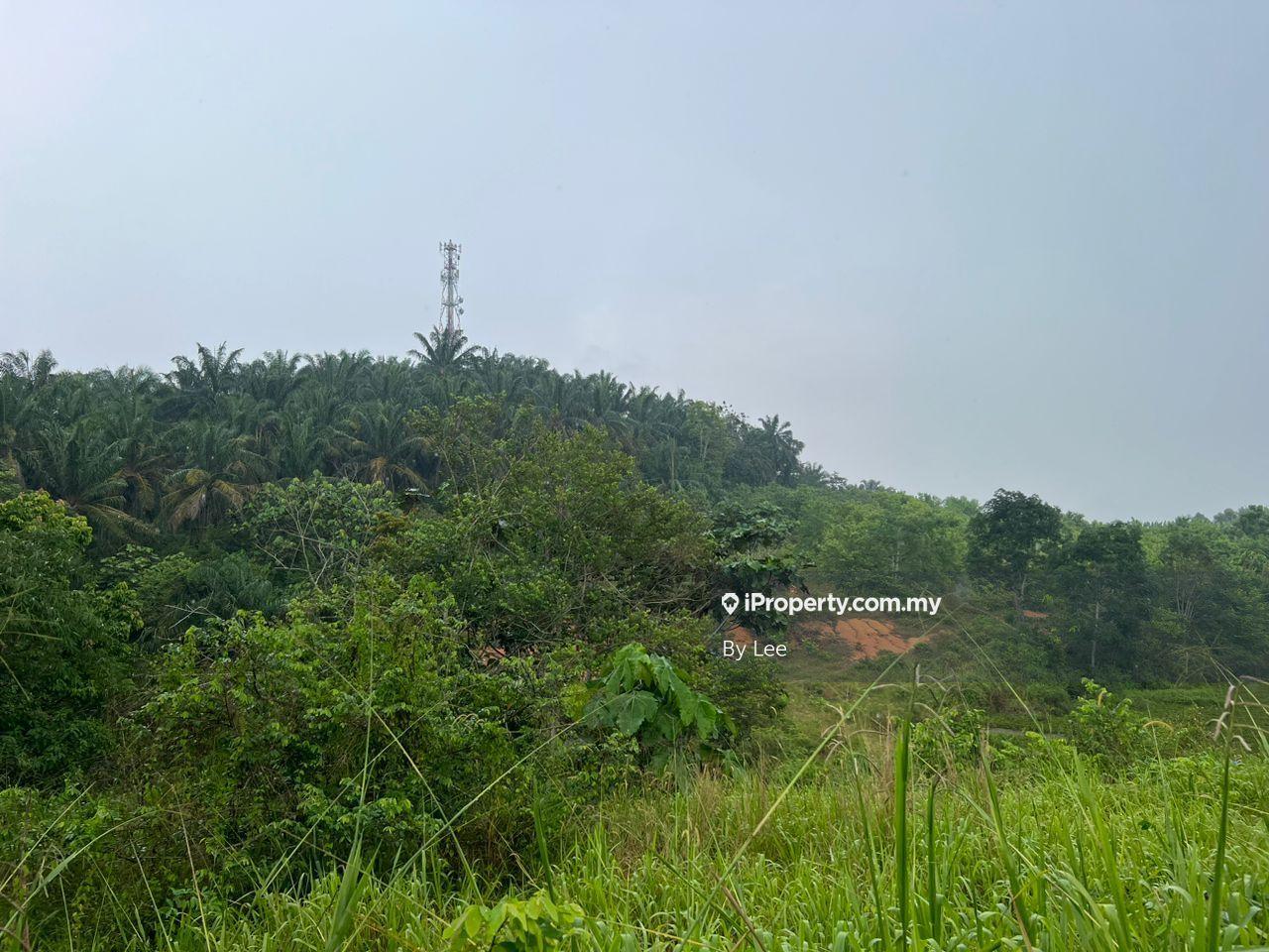 Tanah Pertanian untuk Disewa di Seelong, Senai oleh By Lee - iProperty.com.my