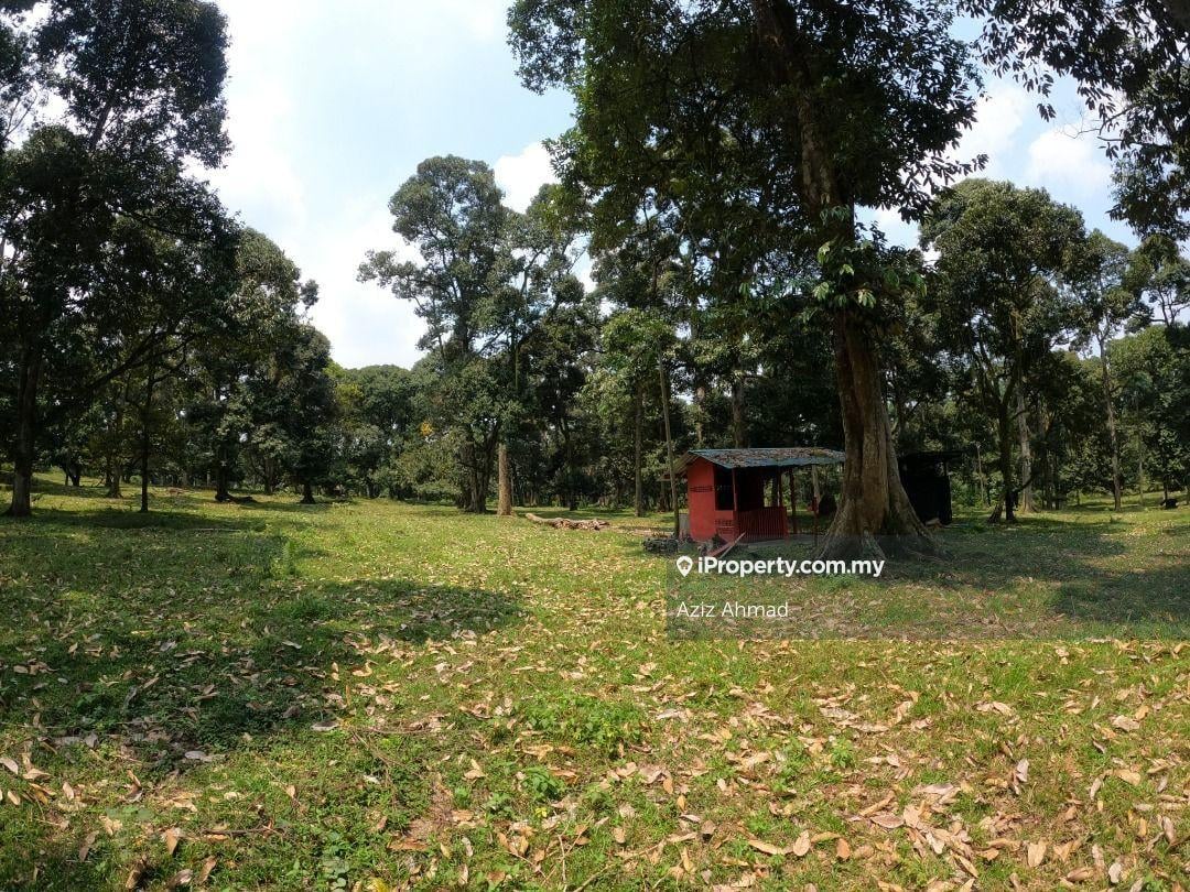 Agricultural Land for Sale in Salak Tinggi, Sepang by Aziz Ahmad - iProperty.com.my