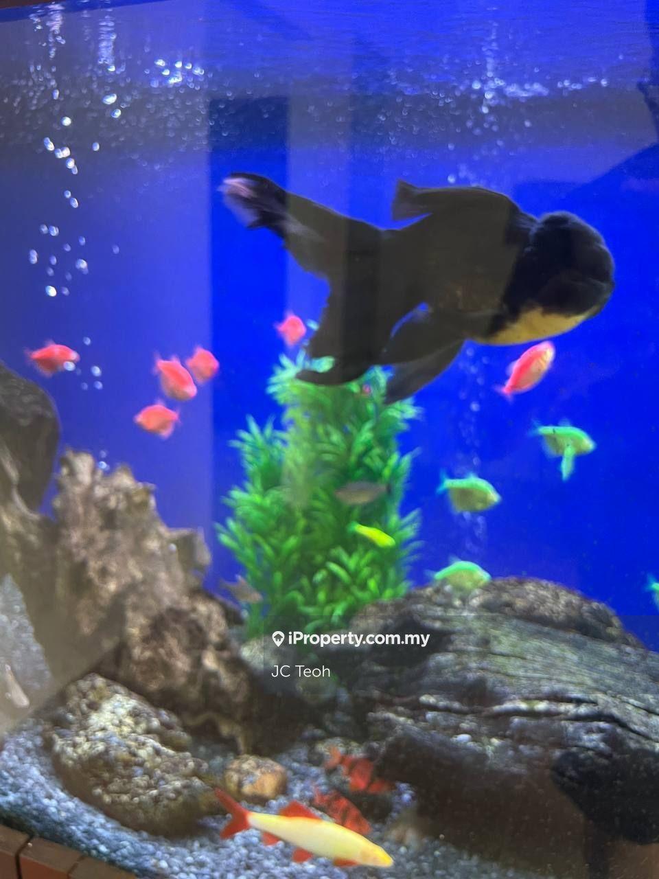 1-storey Terraced House for Rent in Pju 1, Petaling Jaya by JC Teoh - iProperty.com.my