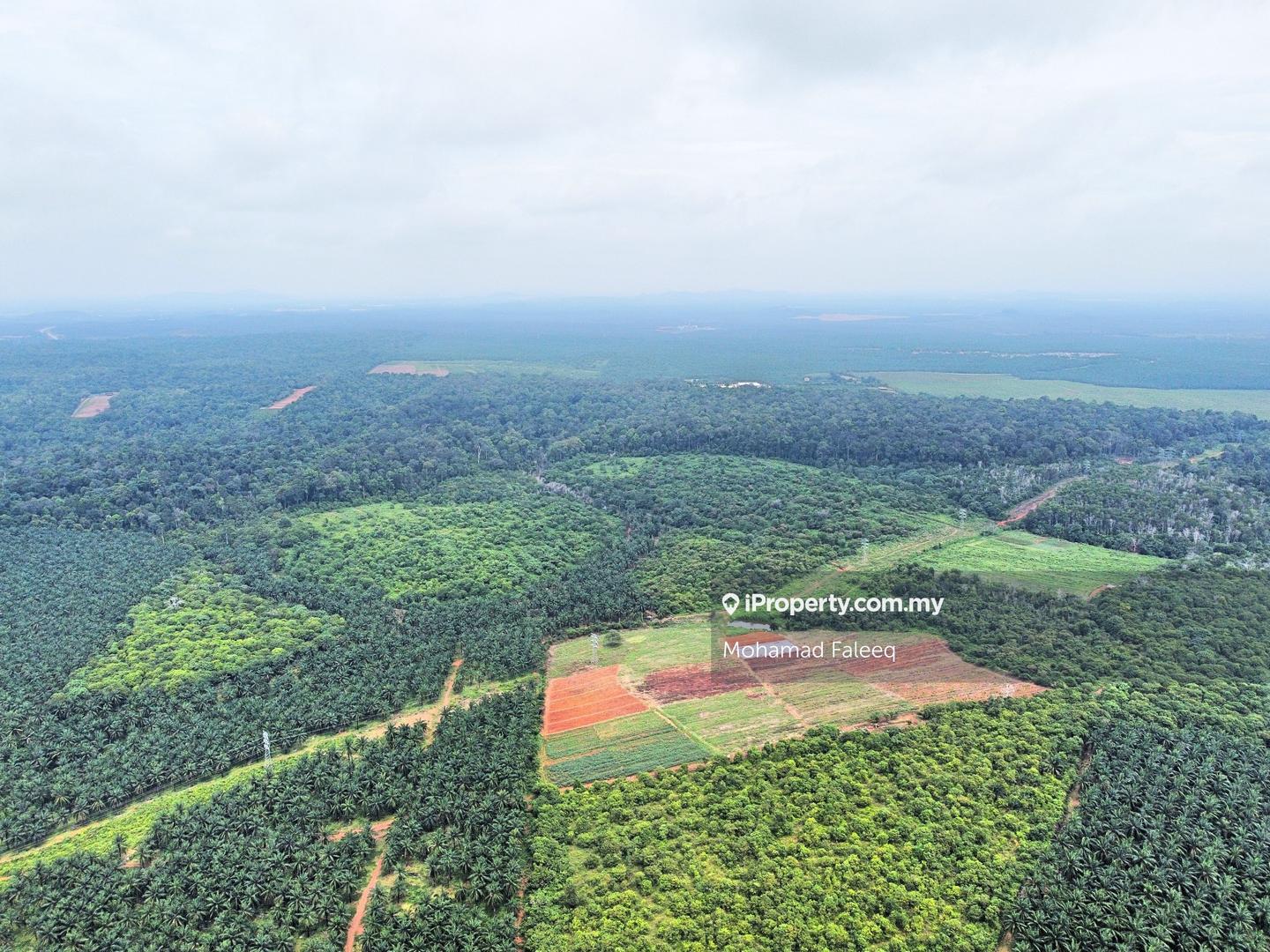 Tanah Perindustrian untuk Dijual di Taiping, Perak oleh Mohamad Faleeq - iProperty.com.my