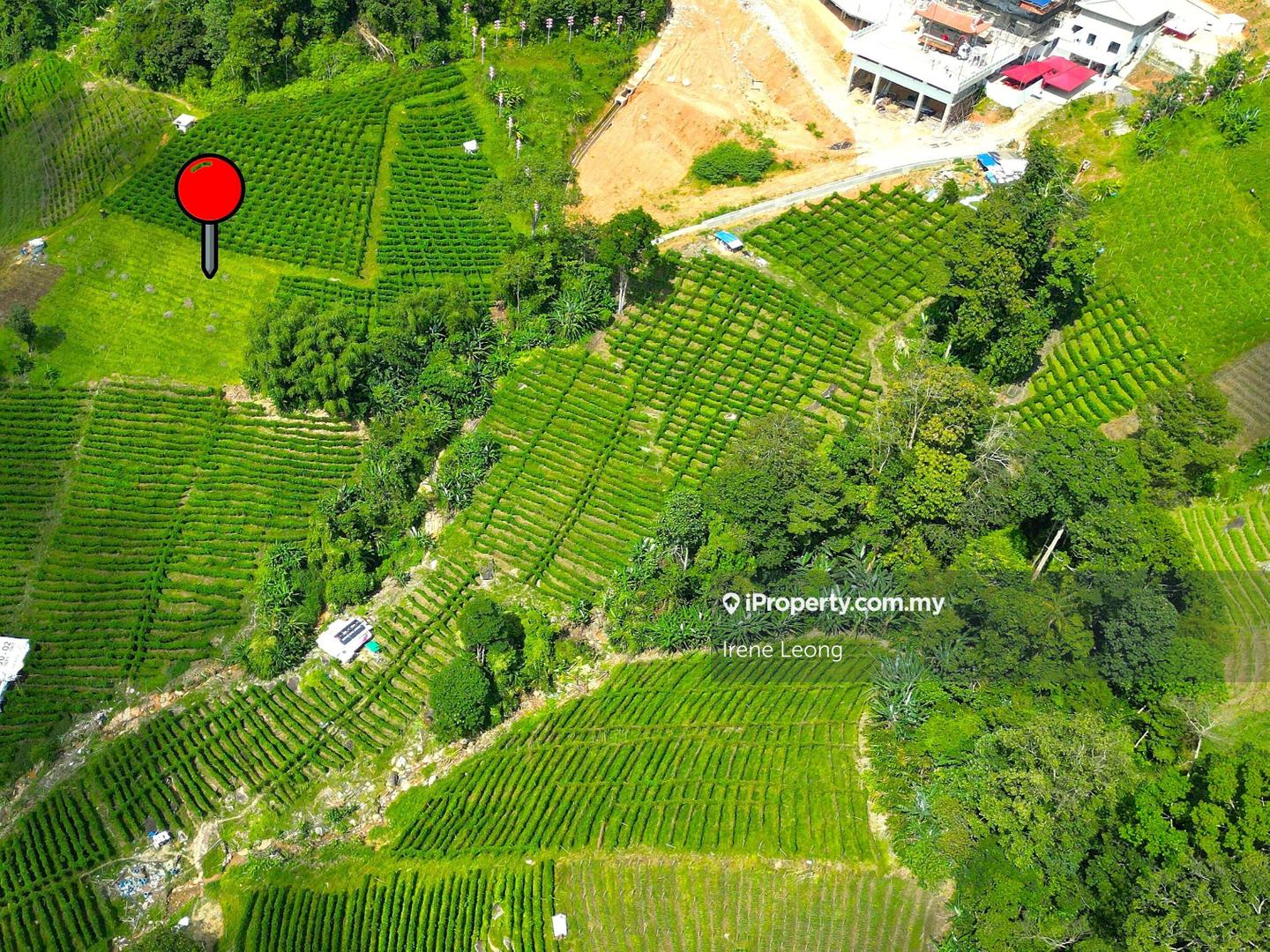 Agricultural Land for Sale in Genting Highlands, Bentong by Irene Leong - iProperty.com.my