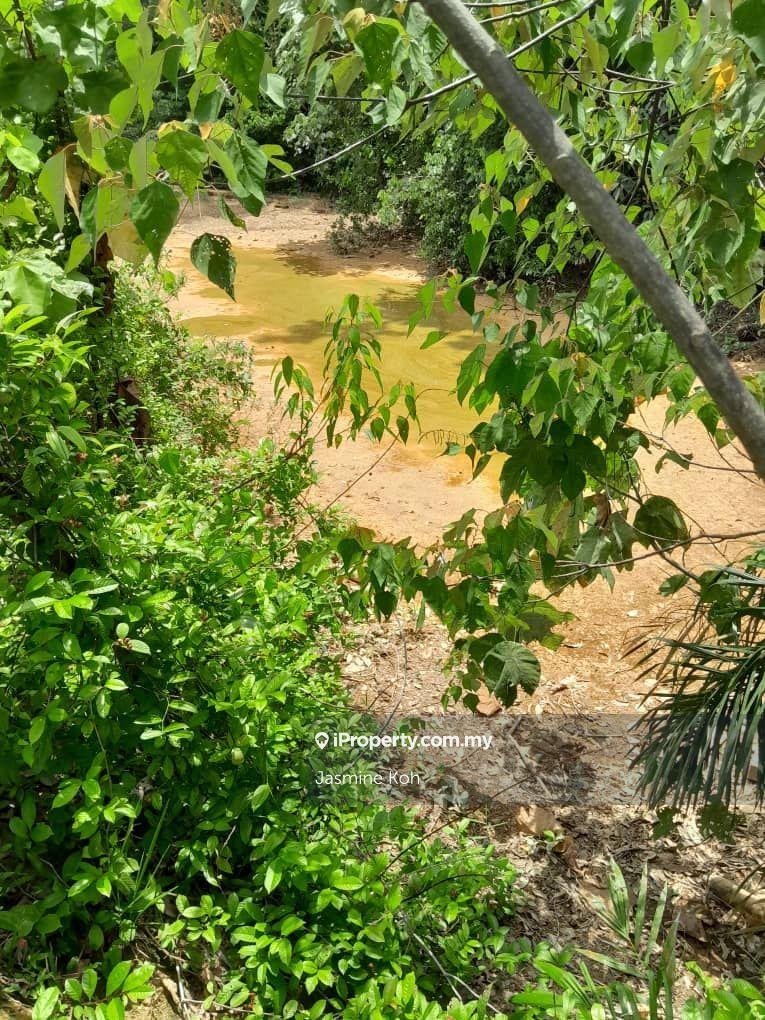 Tanah Pertanian untuk Dijual di Kemaman, Terengganu oleh Jasmine Koh - iProperty.com.my