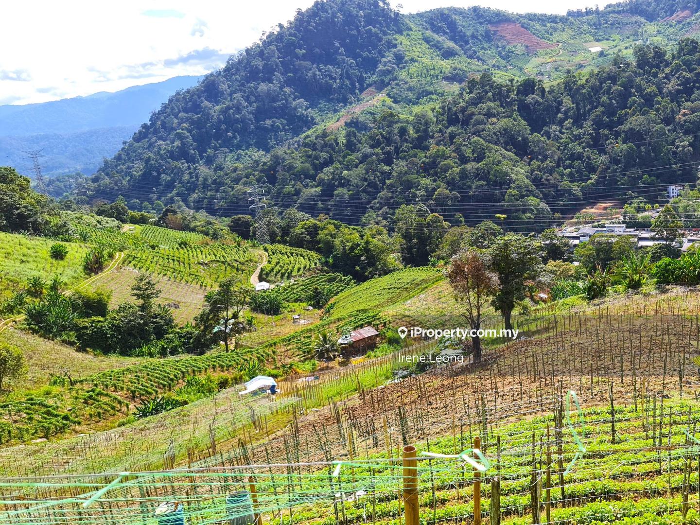 Agricultural Land for Sale in Genting Highlands, Bentong by Irene Leong - iProperty.com.my