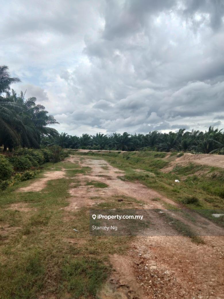 Agricultural Land for Sale in Pulau Carey, Pulau Carey (Carey Island) by Stanley Ng - iProperty.com.my