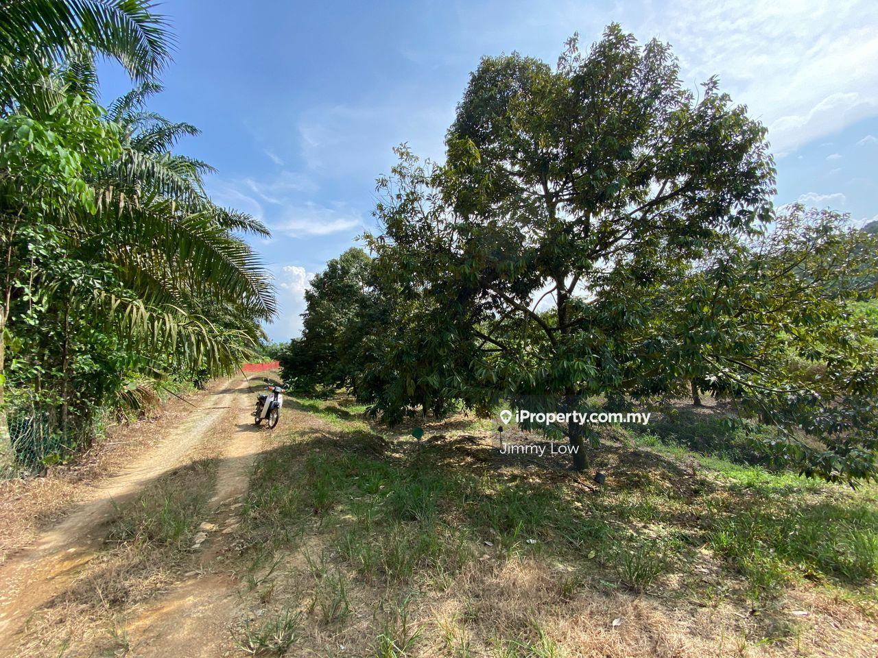 Agricultural Land for Sale in Karak, Pahang by Jimmy Low - iProperty.com.my