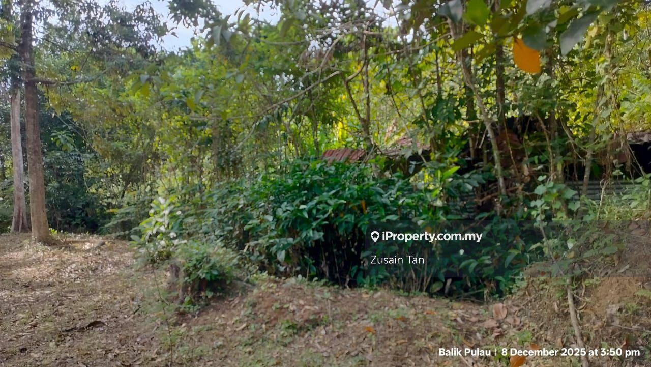 Agricultural Land for Sale in Sungai Pinang, Balik Pulau by Zusain Tan - iProperty.com.my