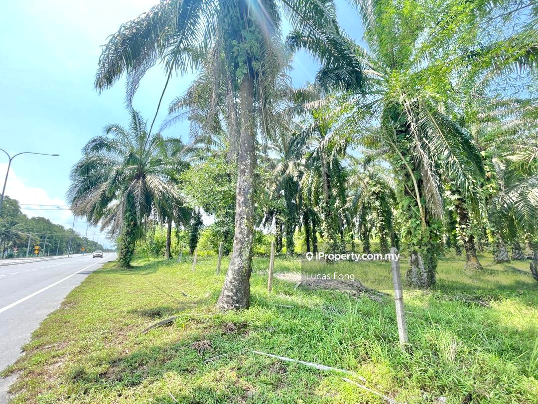 Tanah Pertanian untuk Disewa di Tapah Main Road Frontage Land, Tapah oleh Lucas Fong - iProperty.com.my