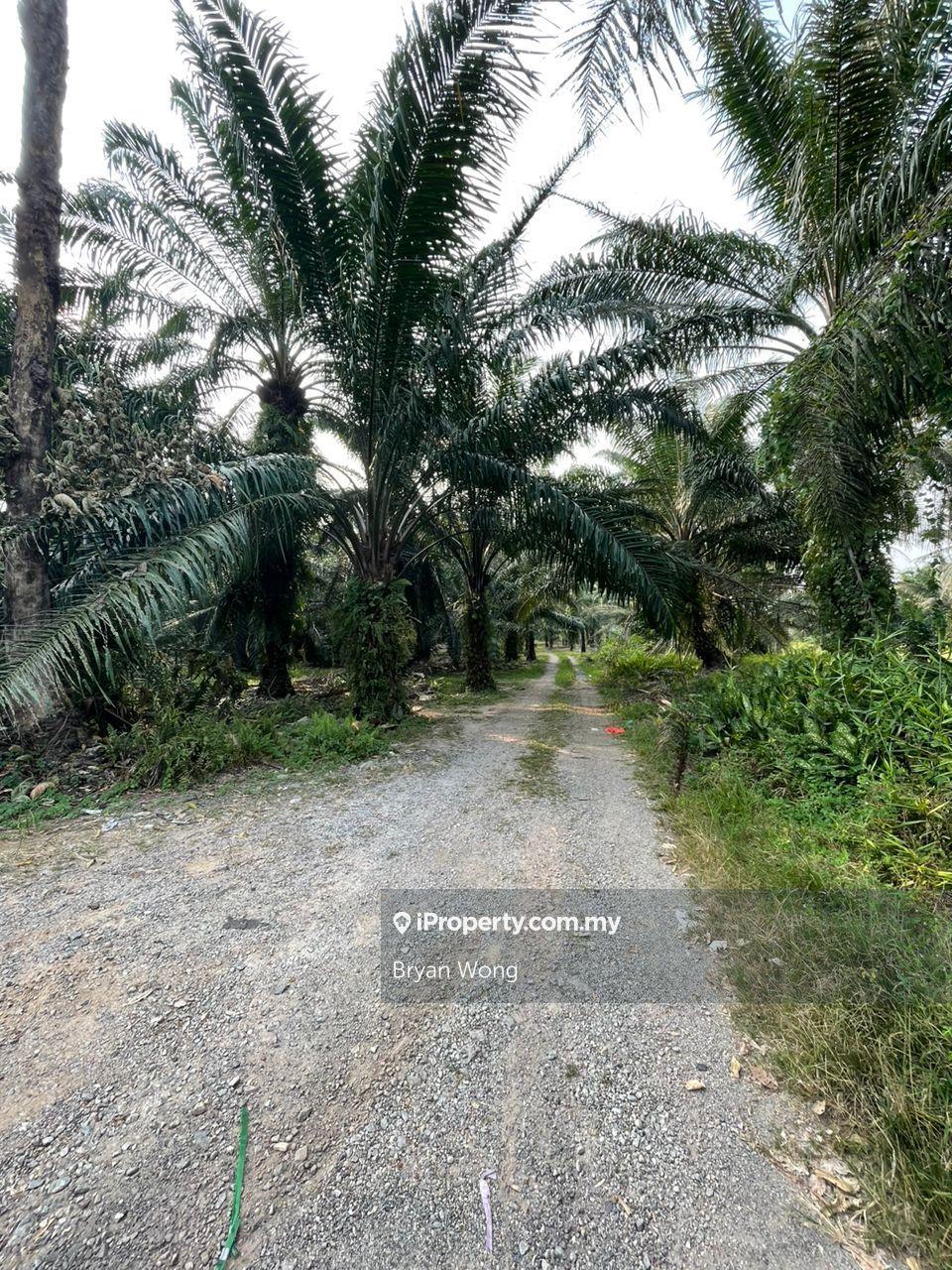 Agricultural Land for Sale in Kampung Jenjarom, Jenjarom by Bryan Wong - iProperty.com.my