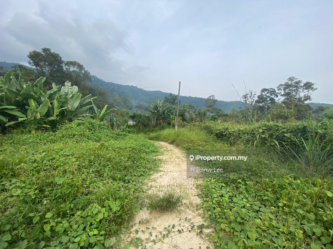 Agricultural Land for Sale in Broga , Sak Da Tok Temple, Electric Ready, Tar Roa, Lenggeng by Teammy Lee - iProperty.com.my