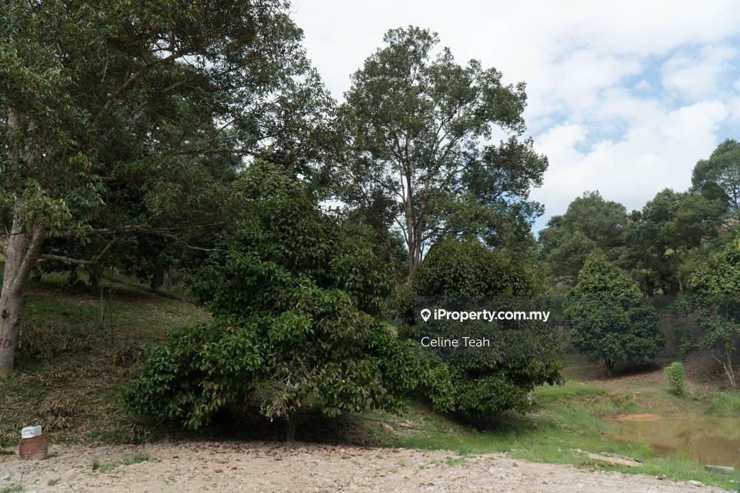 Agricultural Land for Sale in Papar Fruits Farm, Papar by Celine Teah - iProperty.com.my