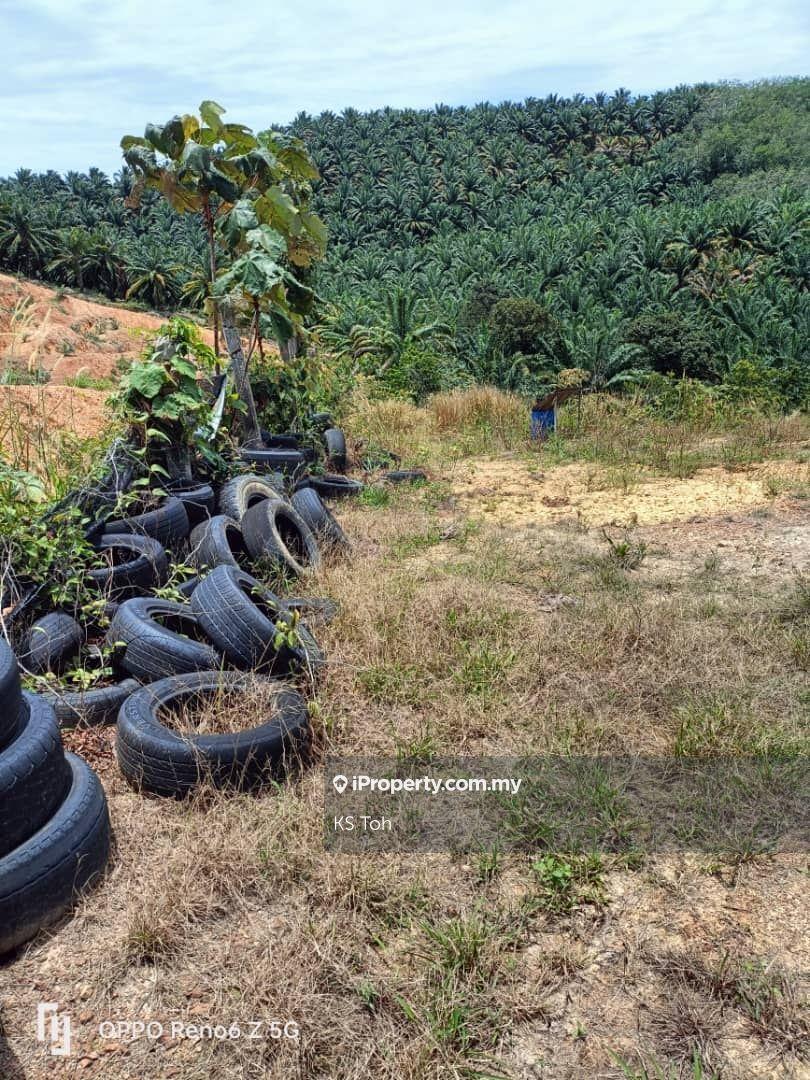 Agricultural Land for Sale in Kampung Kendong Lama, Gadong by KS Toh - iProperty.com.my