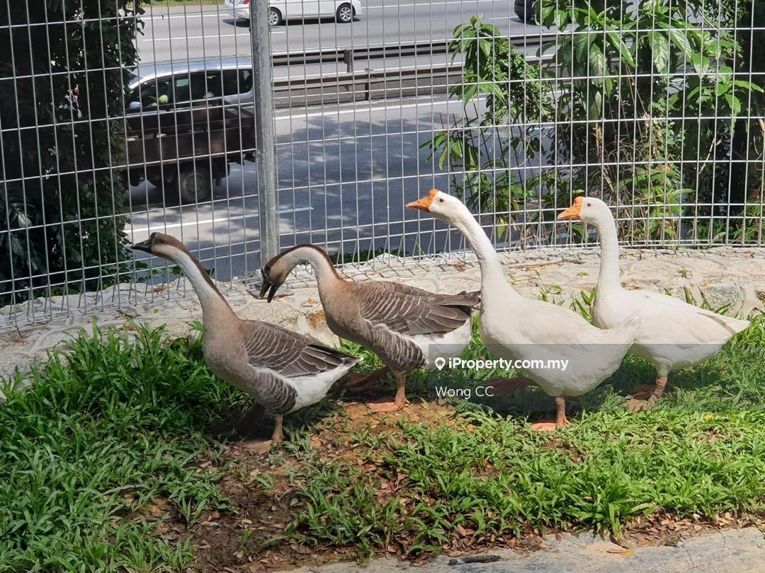 Condominium for Rent in Nidoz Residences @ Desa Petaling by Wong CC - iProperty.com.my