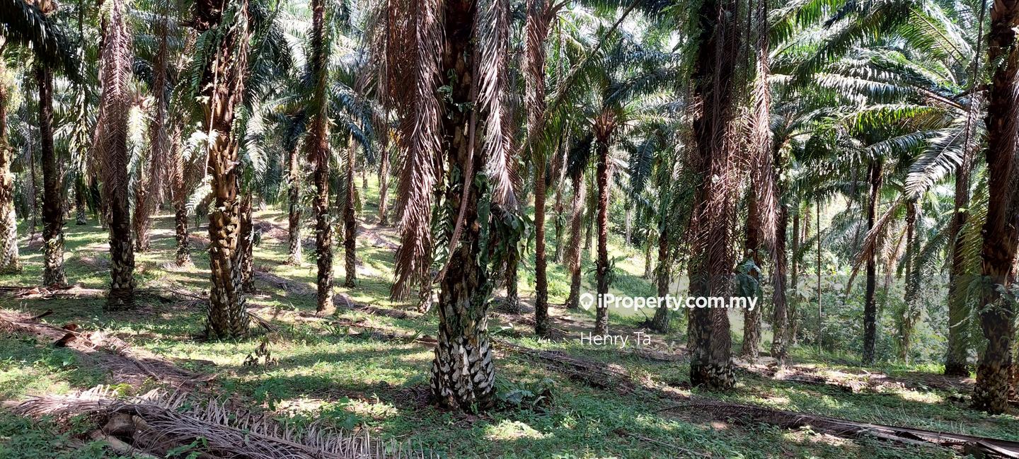 Tanah Perindustrian untuk Dijual di Hulu Semenyih, Semenyih oleh Henry Ta - iProperty.com.my