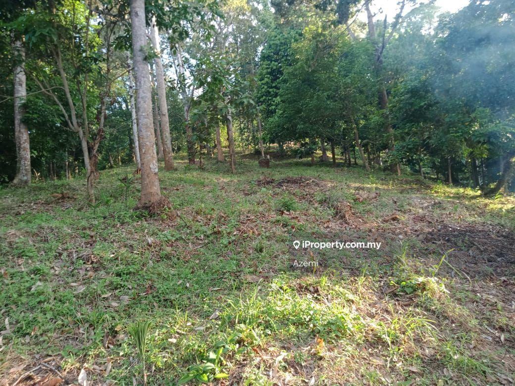 Tanah Pertanian untuk Dijual di Ulu Melaka, Langkawi, Ulu Melaka oleh Azemi - iProperty.com.my