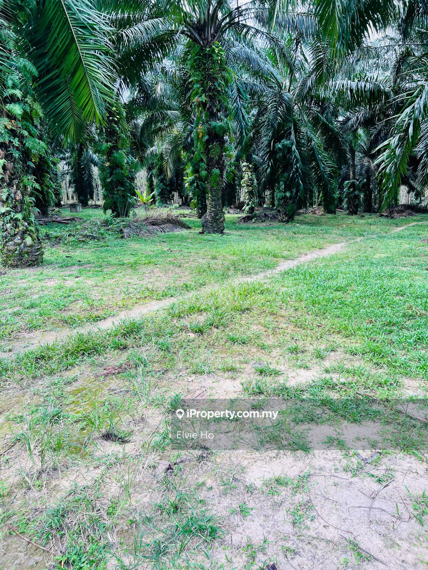 Tanah Pertanian untuk Dijual di Broga, Lenggeng oleh Elvie Ho - iProperty.com.my