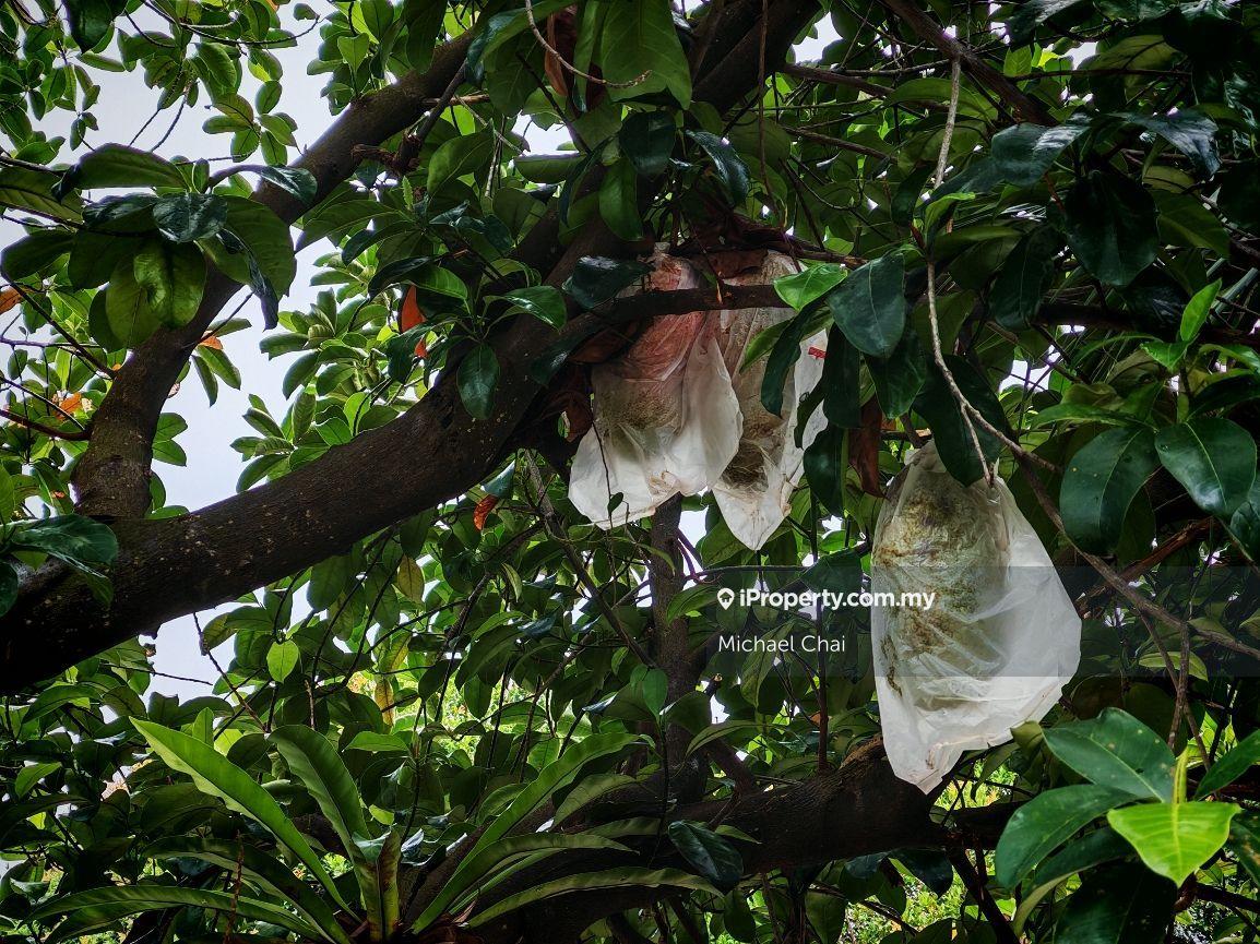 2-storey Terraced House for Sale in U8, Taman Bukit Jelutong, Shah Alam by Michael Chai - iProperty.com.my