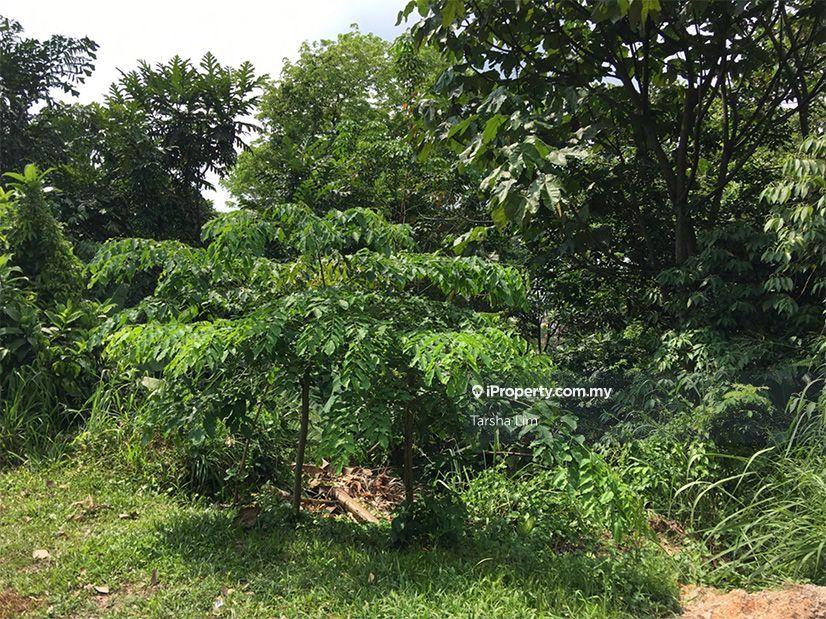 Bungalow Land for Sale in Bukit Gasing, Petaling Jaya by Tarsha Lim - iProperty.com.my