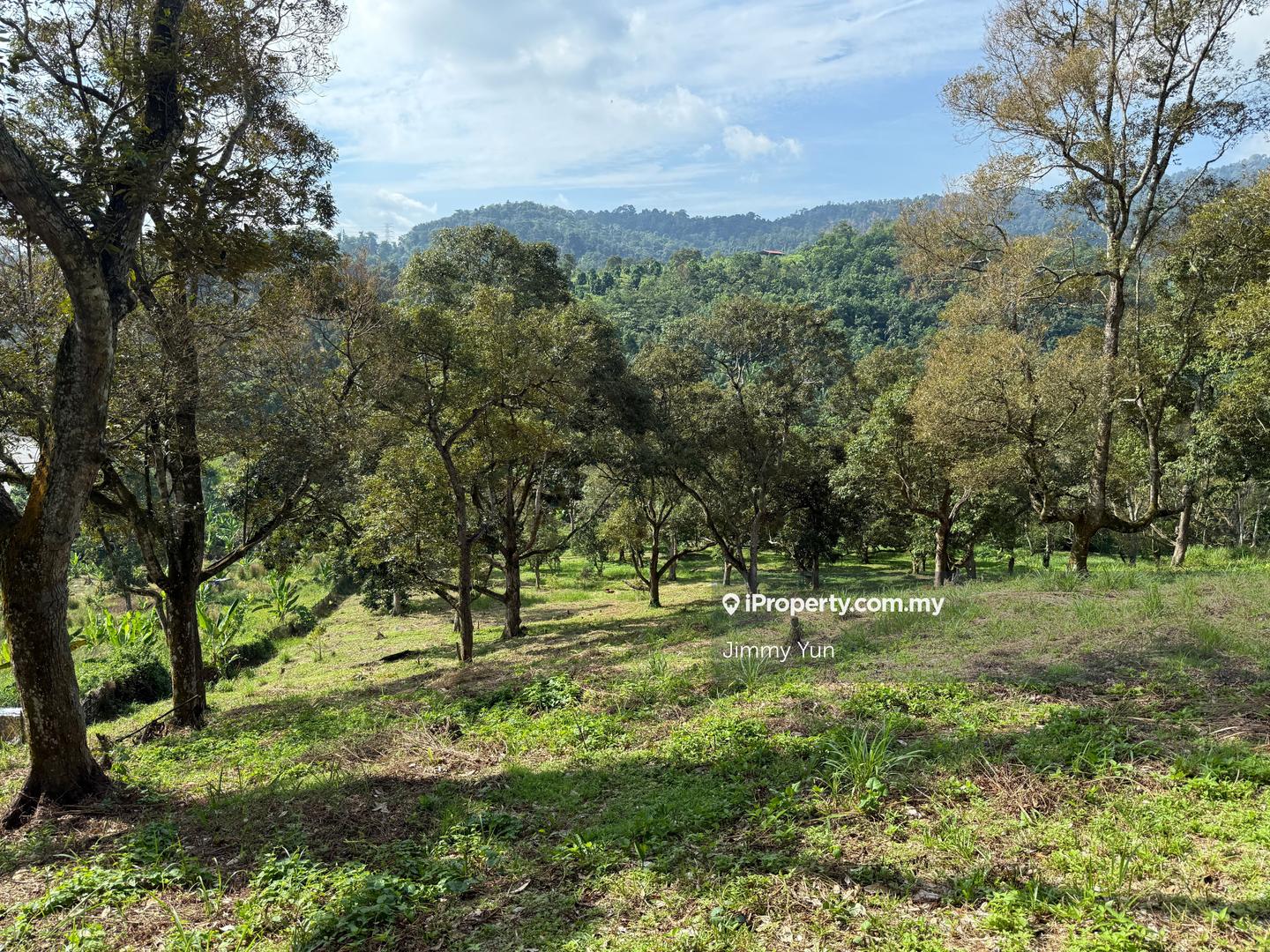 Agricultural Land for Sale in Pekan Mantin, Mantin by Jimmy Yun - iProperty.com.my