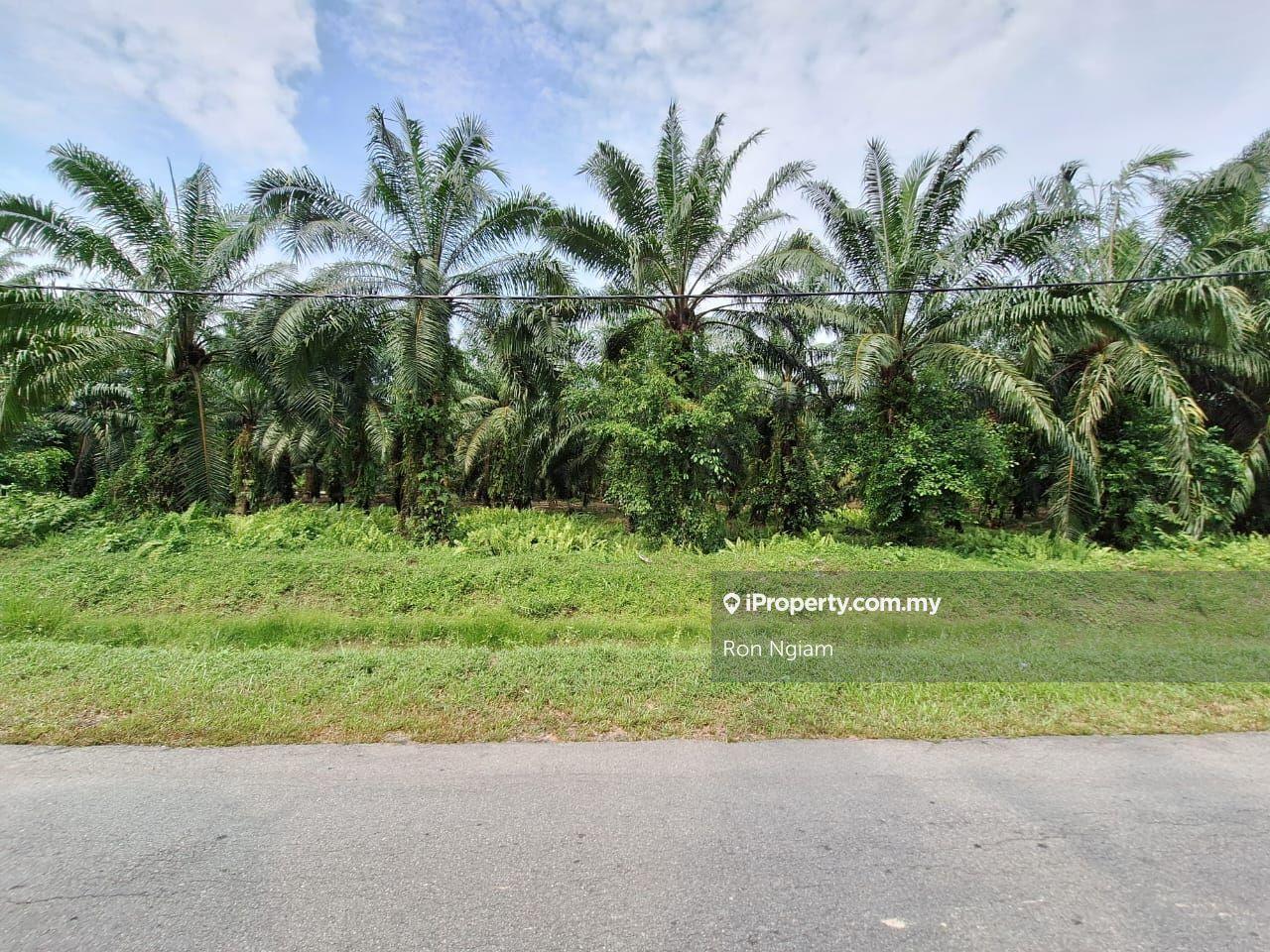 Industrial Land for Sale in Telok Panglima Garang Industrial Zone, Telok Panglima Garang by Ron Ngiam - iProperty.com.my