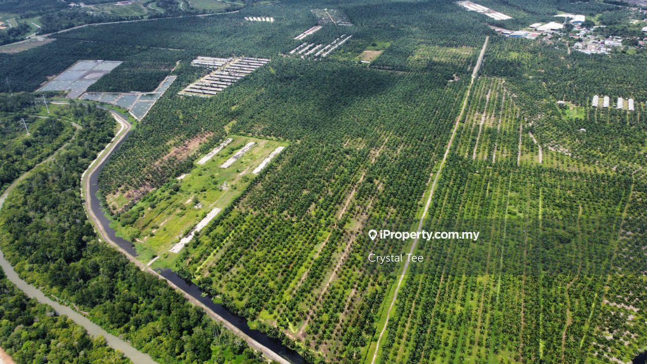 Tanah Pertanian untuk Dijual di Batu Kawan, Penang oleh Crystal Tee - iProperty.com.my