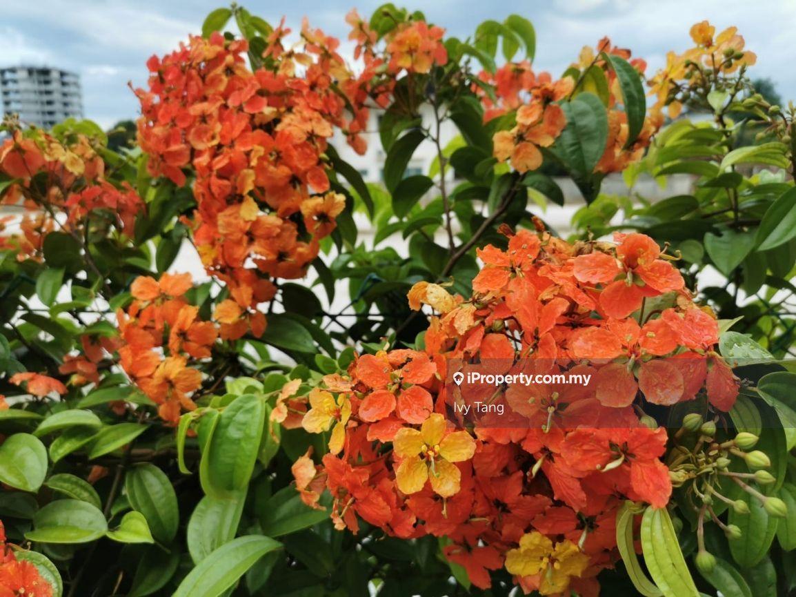 Bungalow House for Sale in Greentown, Ipoh by Ivy Tang - iProperty.com.my