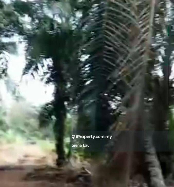 Tanah Pertanian untuk Dijual di Kampung Parit Panjang, Ayer Baloi oleh Siena Lau - iProperty.com.my