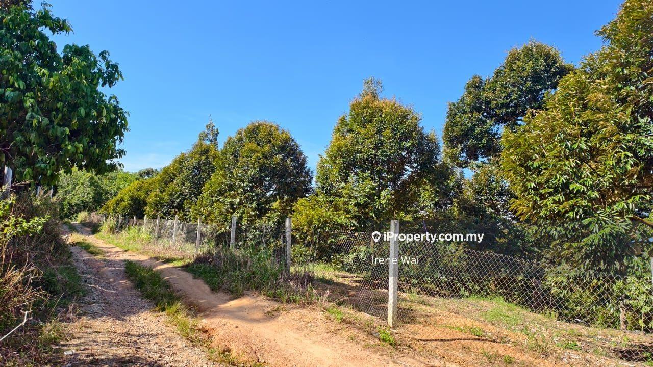 Tanah Pertanian untuk Dijual di Freehold Durian Farm with stream for Sales, Lenggong oleh Irene Wai - iProperty.com.my