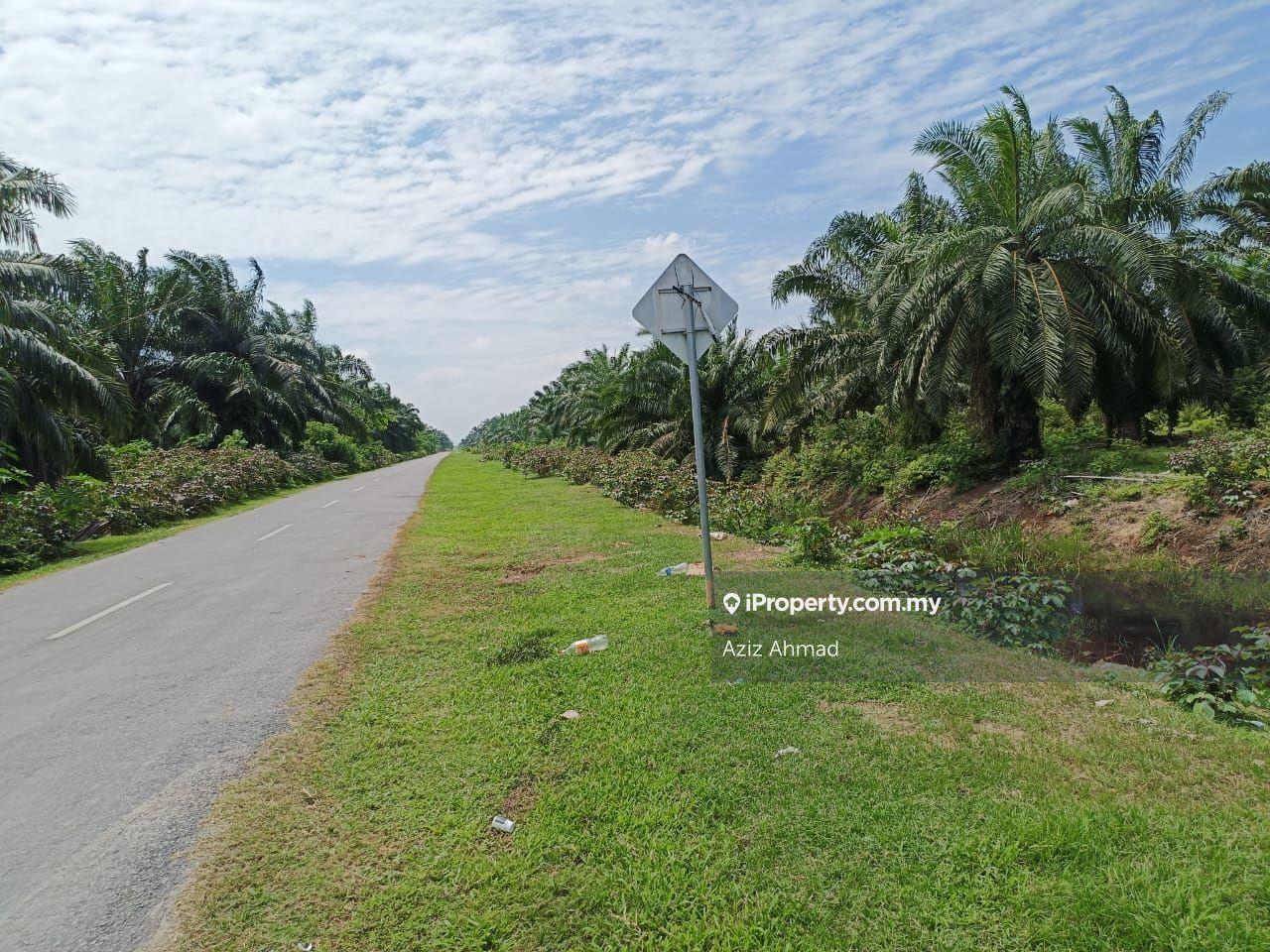 Tanah Pertanian untuk Dijual di Tanjung Sepat, Sepang oleh Aziz Ahmad - iProperty.com.my