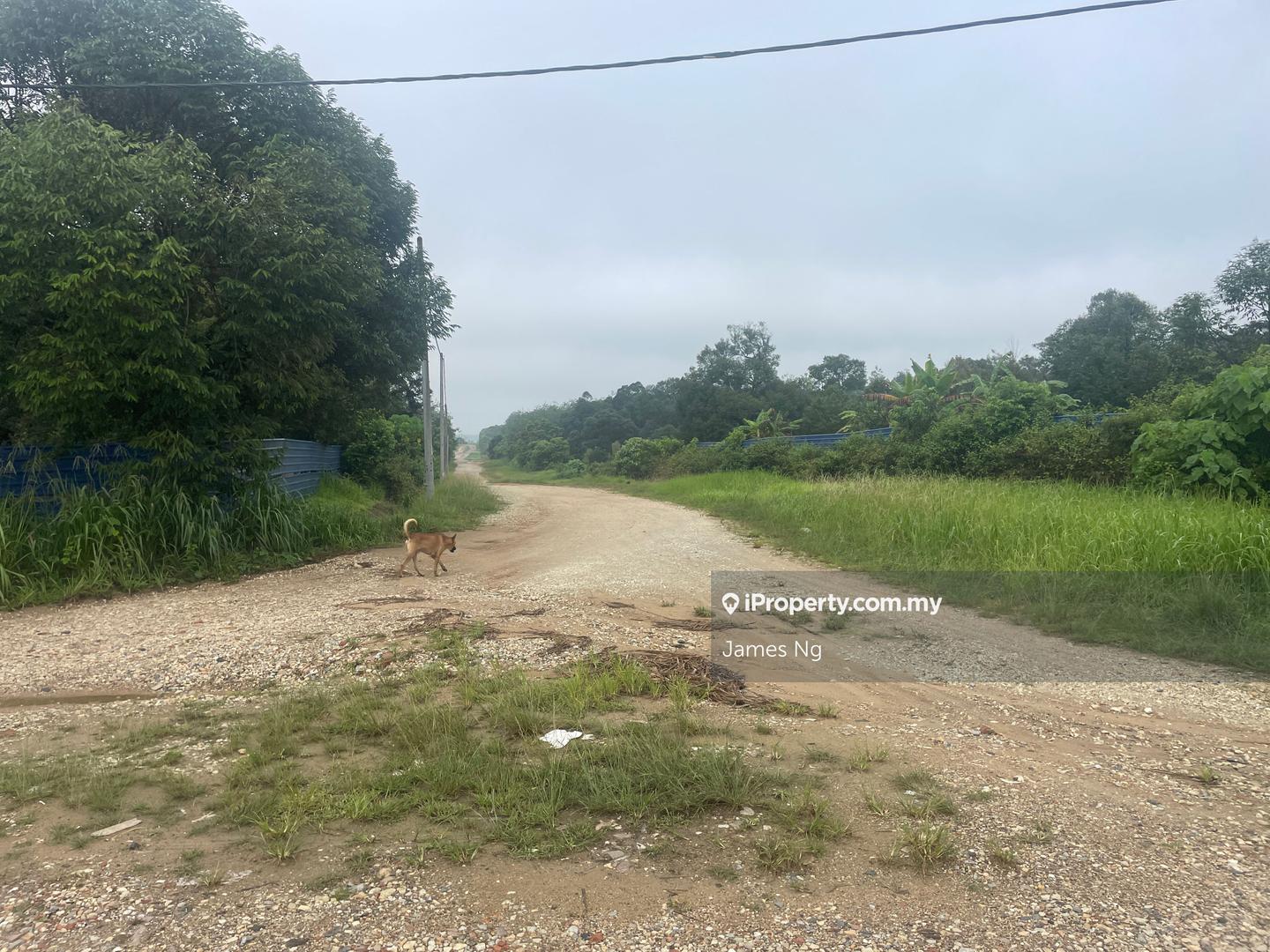 Tanah Pertanian untuk Dijual di Karak, Pahang oleh James Ng - iProperty.com.my