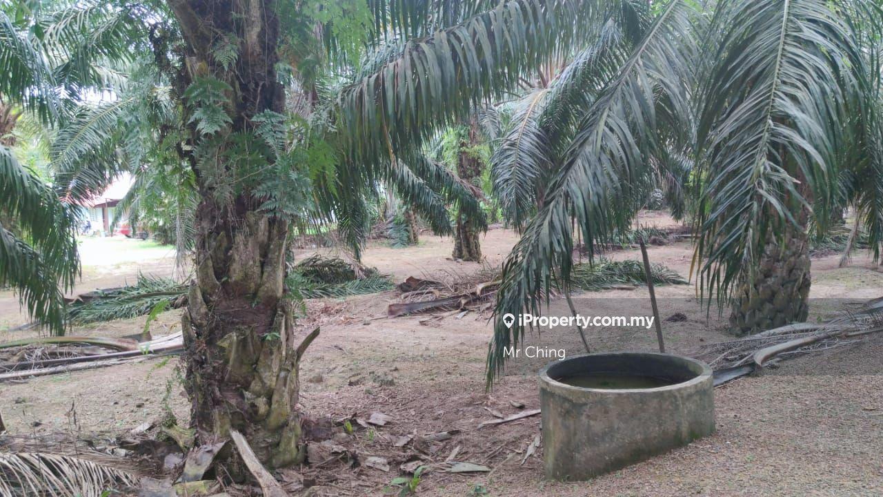 Residential Land for Sale in Kawasan Perindustrian Jasin, Jasin by Mr Ching - iProperty.com.my
