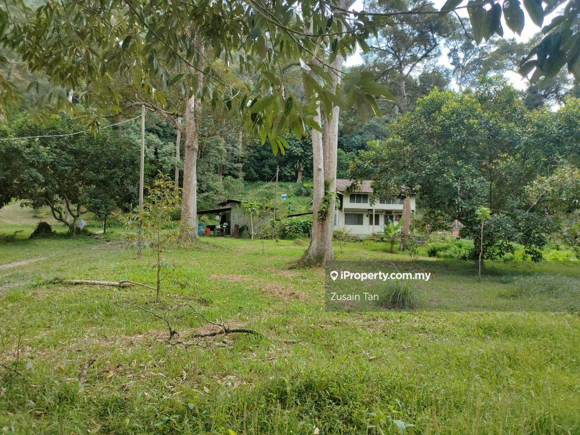 Agricultural Land for Sale in Pulau Betong, Balik Pulau by Zusain Tan - iProperty.com.my