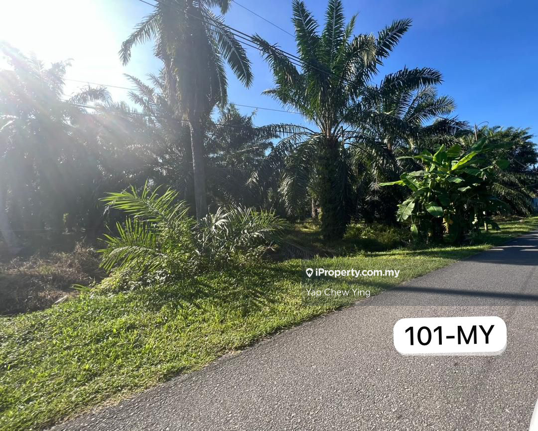 Agricultural Land for Sale in Tanjong Sepat, Sepang, Sepang by Yap Chew Ying - iProperty.com.my