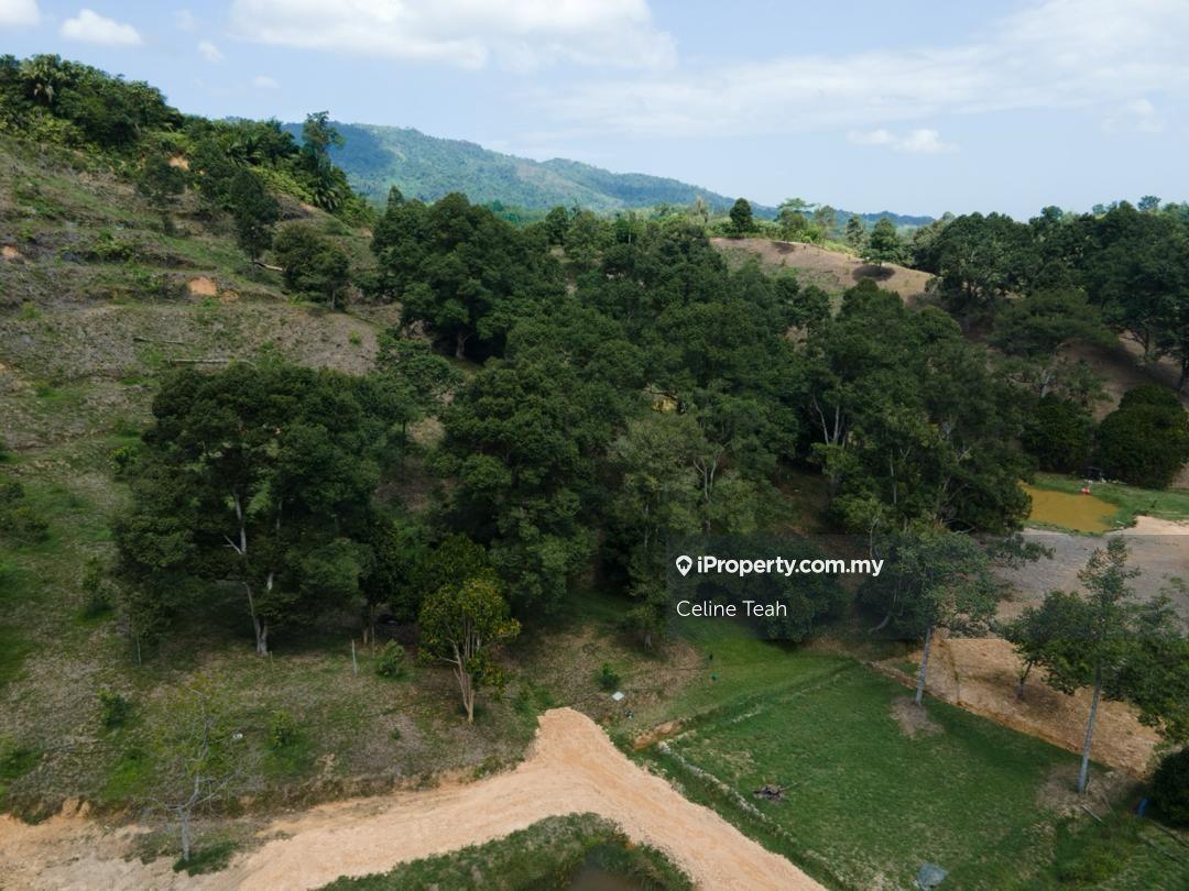 Agricultural Land for Sale in Papar Fruits Farm, Papar by Celine Teah - iProperty.com.my
