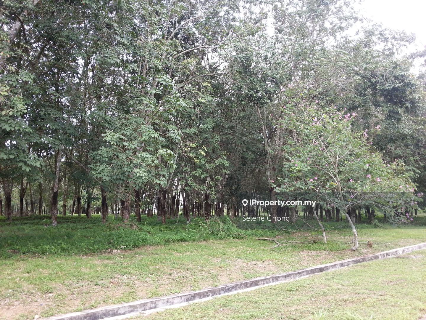 Banglo Tanah untuk Dijual di College Heights Garden Resort, Setul oleh Selene Chong - iProperty.com.my