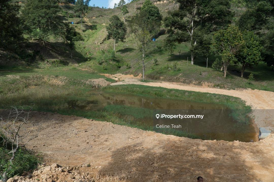 Agricultural Land for Sale in Papar Fruits Farm, Papar by Celine Teah - iProperty.com.my