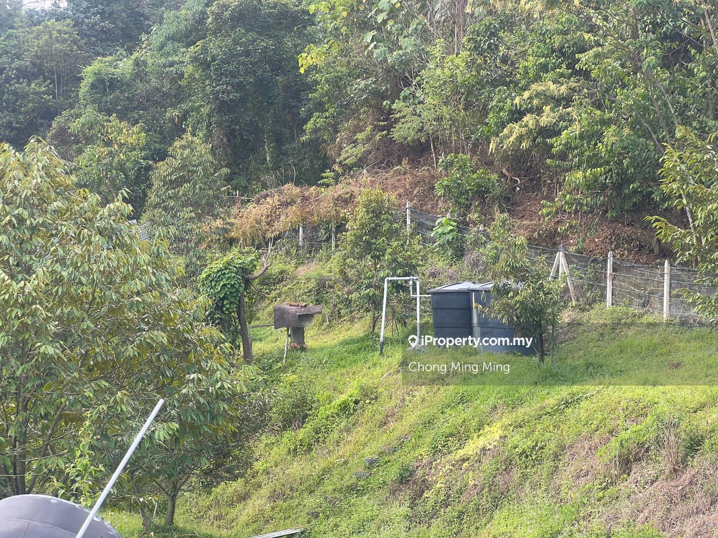 Tanah Pertanian untuk Dijual di Kampung Pantai, Pantai oleh Chong Ming Ming - iProperty.com.my