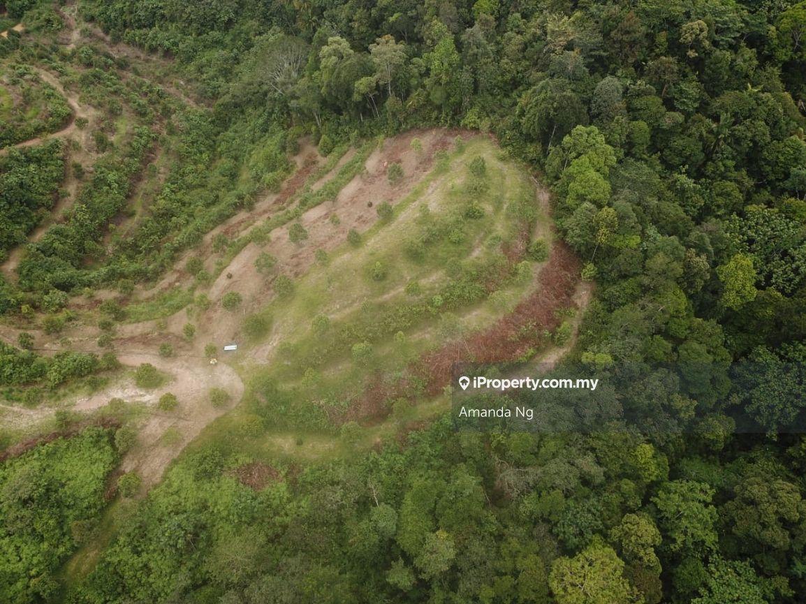 Agricultural Land for Sale in Kuala Lipis mukim penjom, Kuala Lipis by Amanda Ng - iProperty.com.my