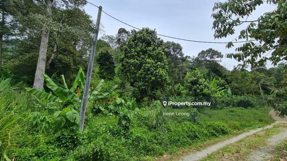 Tanah Pertanian untuk Dijual di Bentong, Pahang oleh Irene Leong - iProperty.com.my