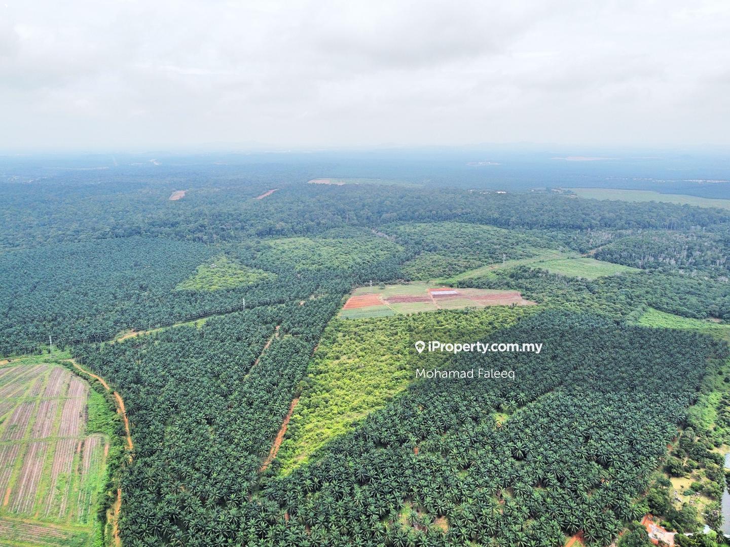 Tanah Kediaman untuk Dijual di Nilai, Negeri Sembilan oleh Mohamad Faleeq - iProperty.com.my